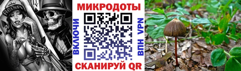 Купить закладки  Городовиковск  Галлюциногенные грибы прущие грибы 